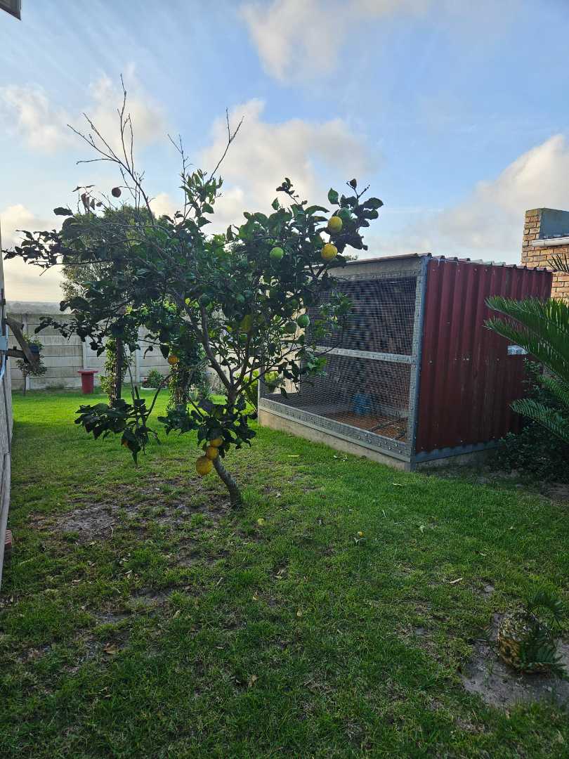 4 Bedroom Property for Sale in Kamma Heights Eastern Cape